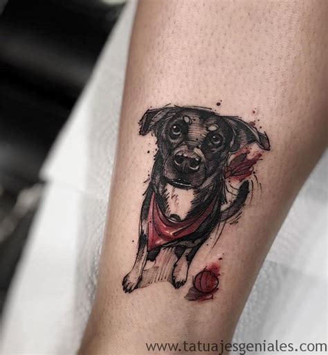 perro tatuando|tatuajes de mascotas para animales.